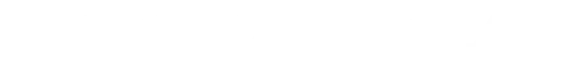 レイドエンターテインメント