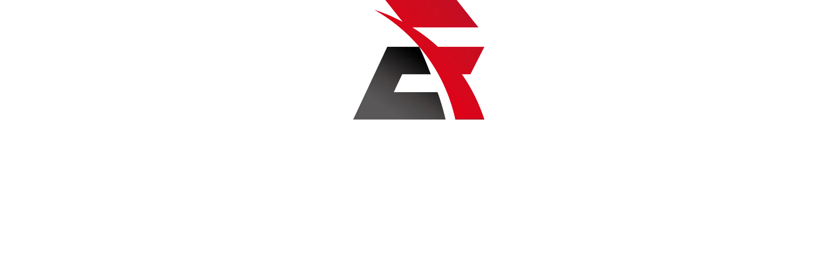 TikTokゲームライバー事務所 レイドエンターテインメント